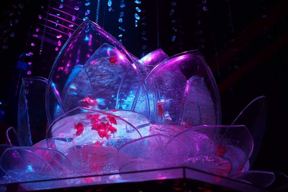 アートアクアリウム