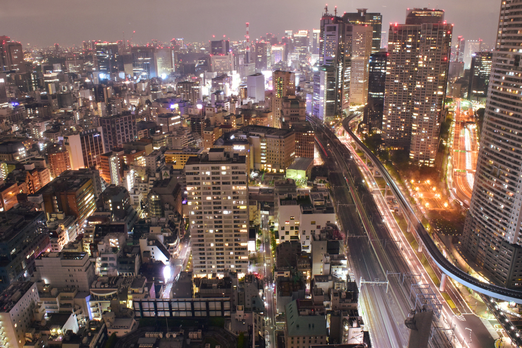 東京を見下ろす