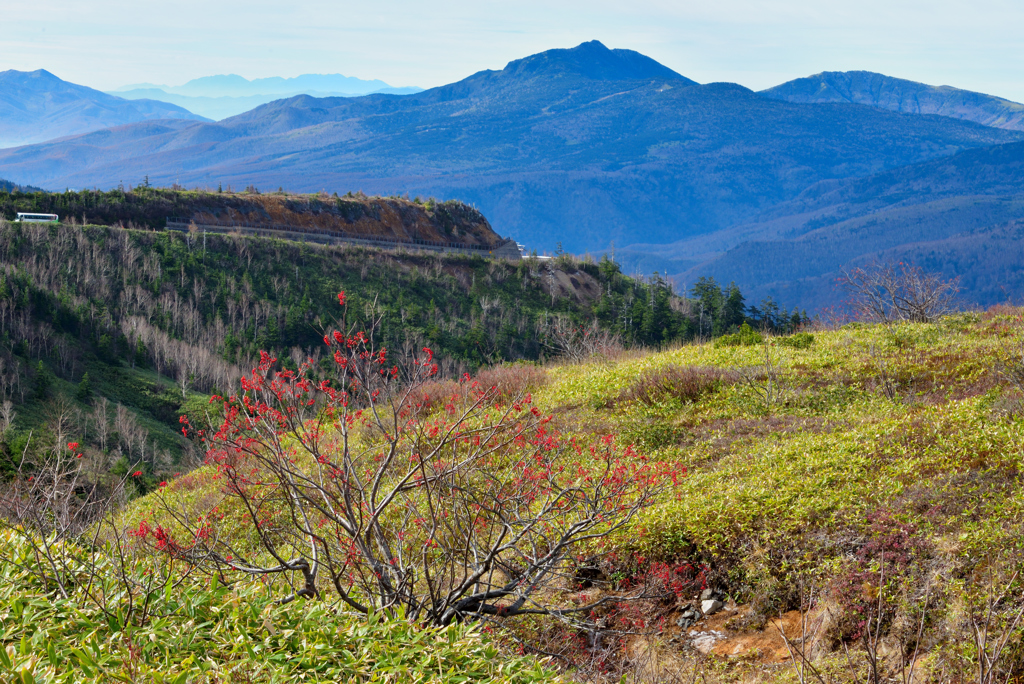 高原ﾙｰﾄの秋