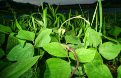 P1003821