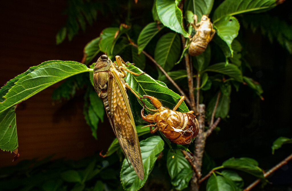 P1002732
