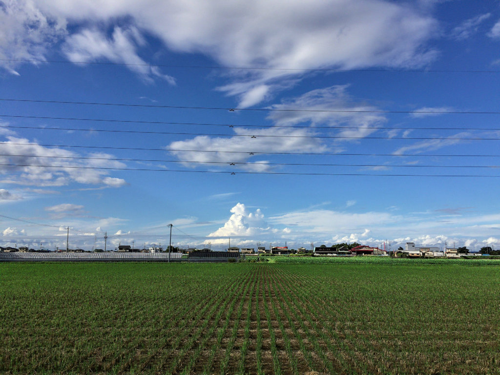 雲２９