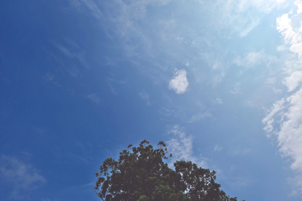 雲13