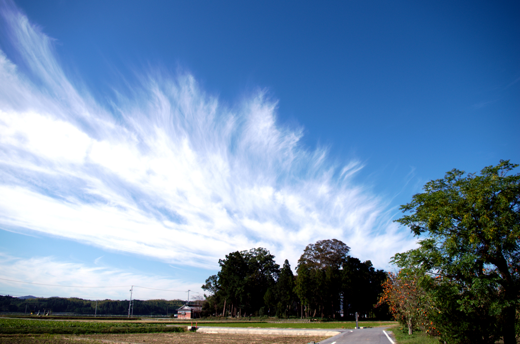 雲