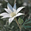 花０５２１－２