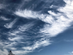 ２０１８空4