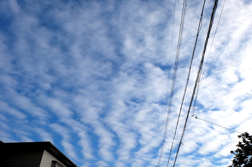 雲１５