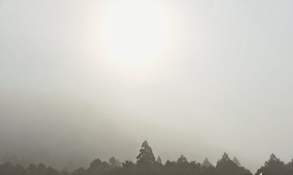 朝靄１