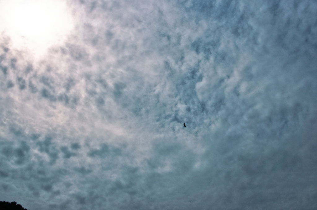 雲２１