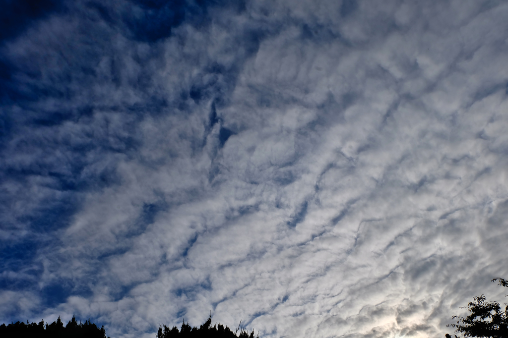 雲１４