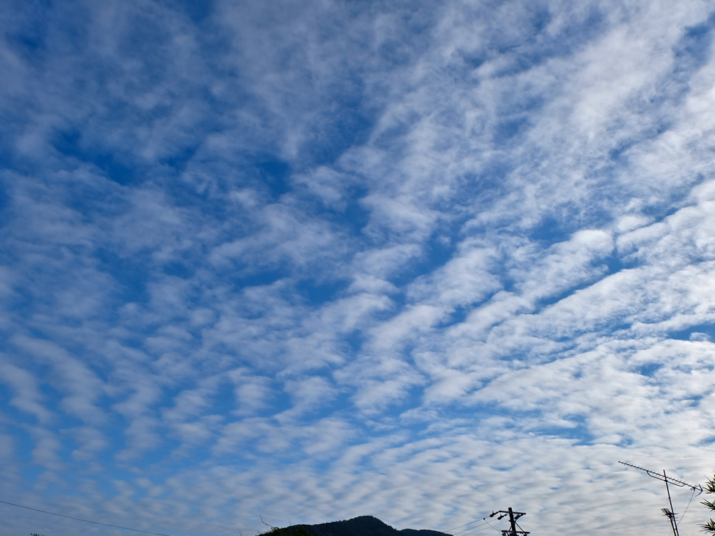 雲１６