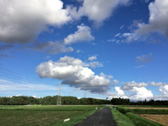 雲２７