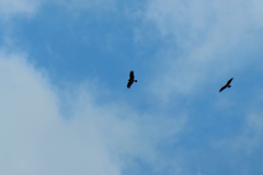 空の記録６