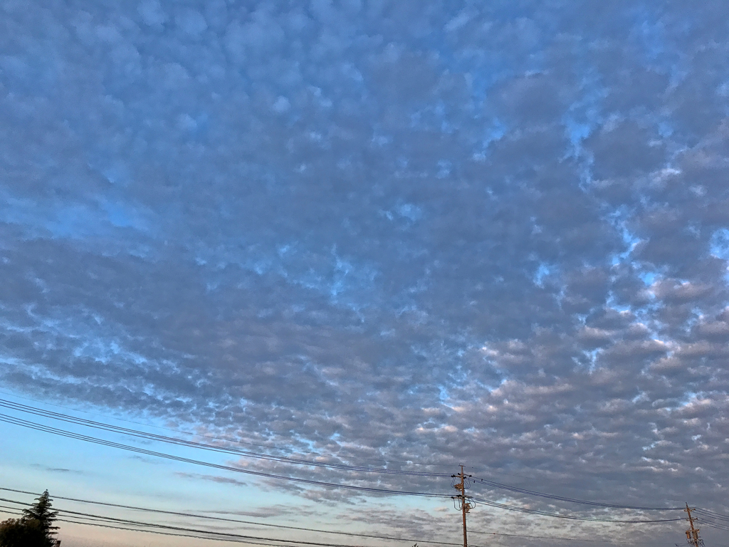 雲３６