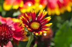 花０５２１－４