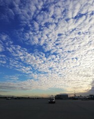 朝空