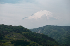 春の富士