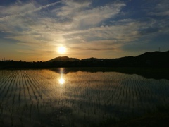 田園夕日