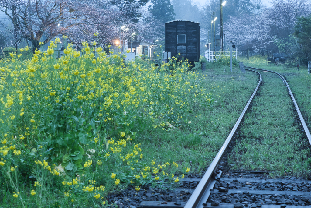 rail line