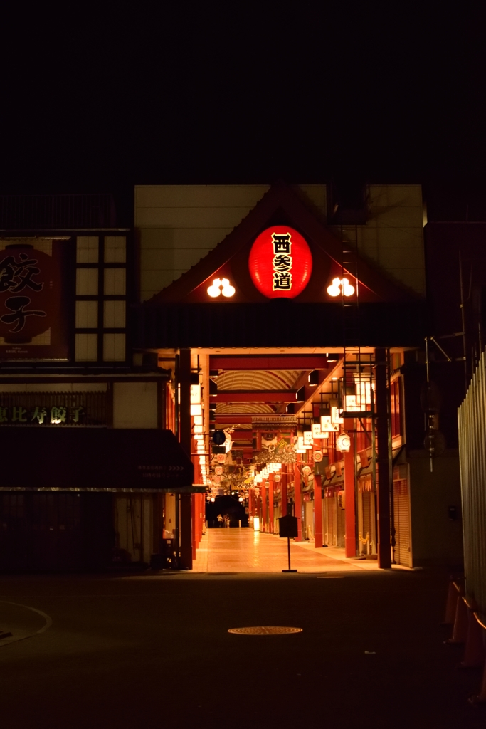 夜の浅草をさまよう