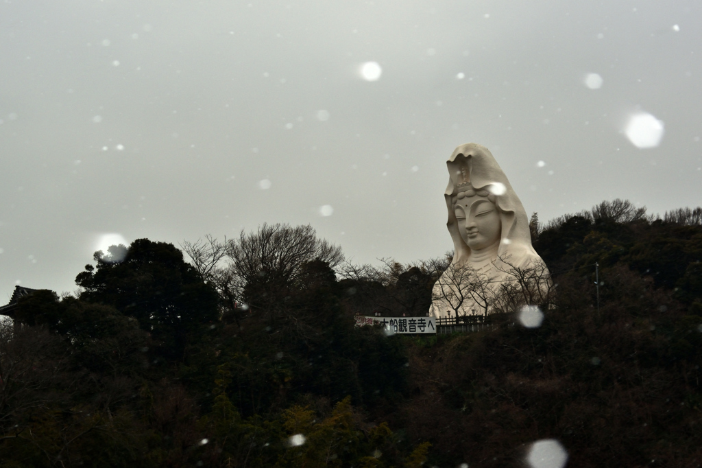 雪の大船観音