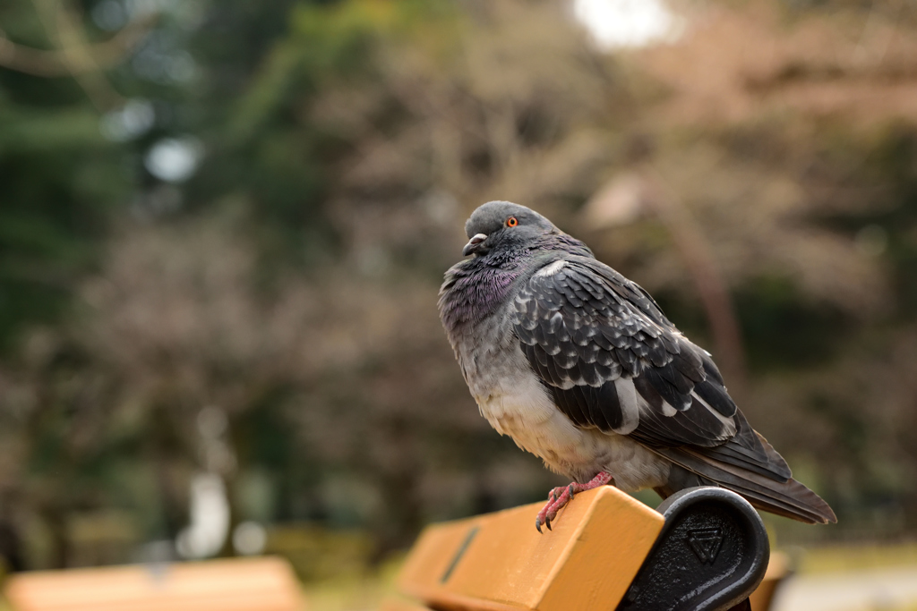 すぐとなり