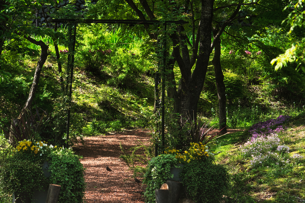 spring path