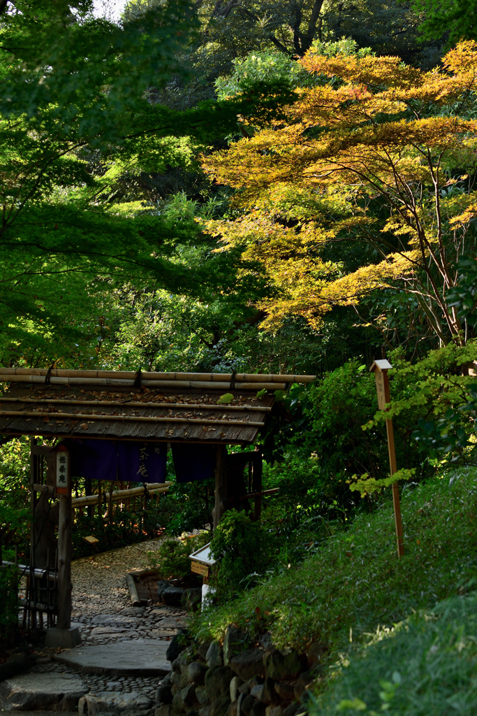 紅葉と門
