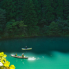 emerald green