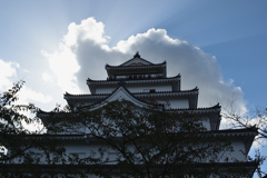 鶴ヶ城光を受けて