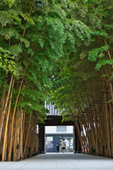 竹の通り路