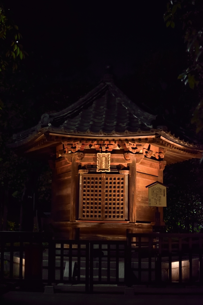 闇夜に浮き上がる
