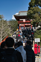 鶴岡八幡宮の新年