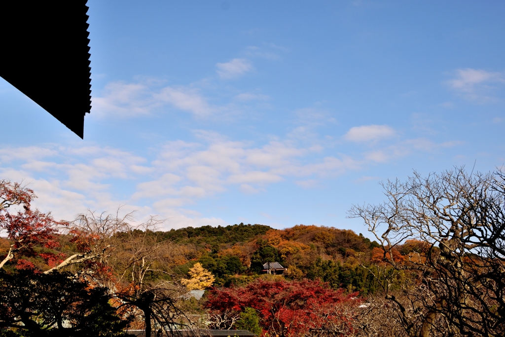 好天の空と秋景