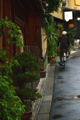 雨をやり過ごしつつ