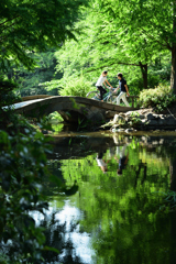 初夏の風薫る