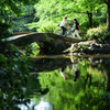 初夏の風薫る