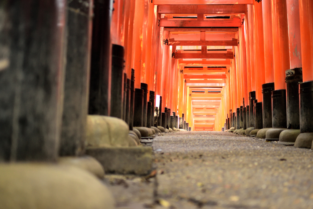 鳥居の先