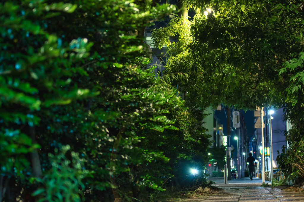 green arch