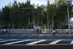 禁足地と自転車