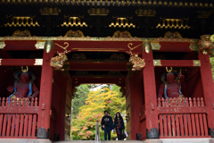 色づく紅葉を覗かせて