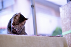 明日は雨かな？