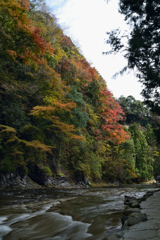 渓流の秋 