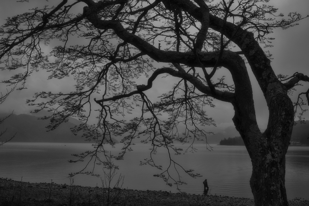 angler
