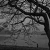 angler