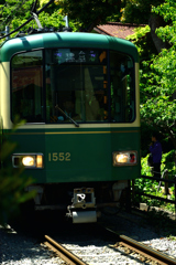 緑を抜けて