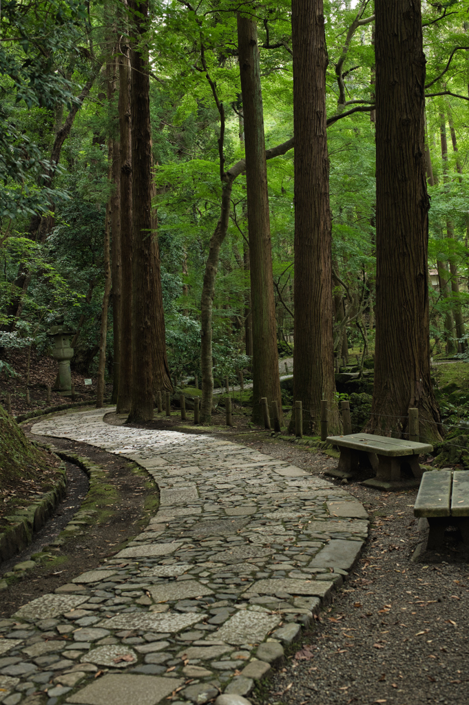 裏の公園にて