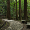 裏の公園にて