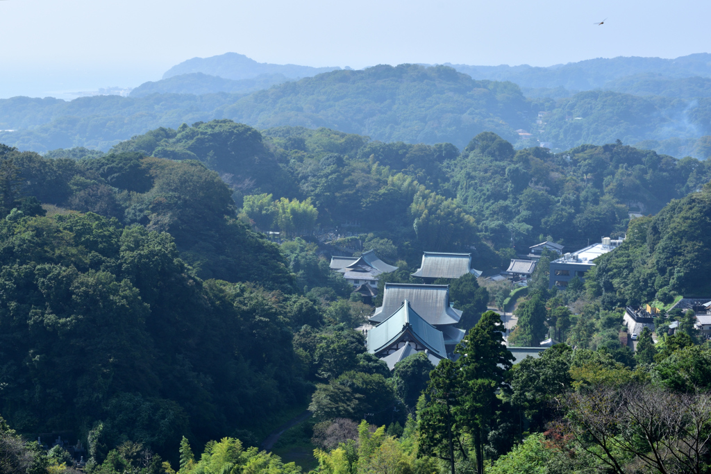 建長寺を眺めて