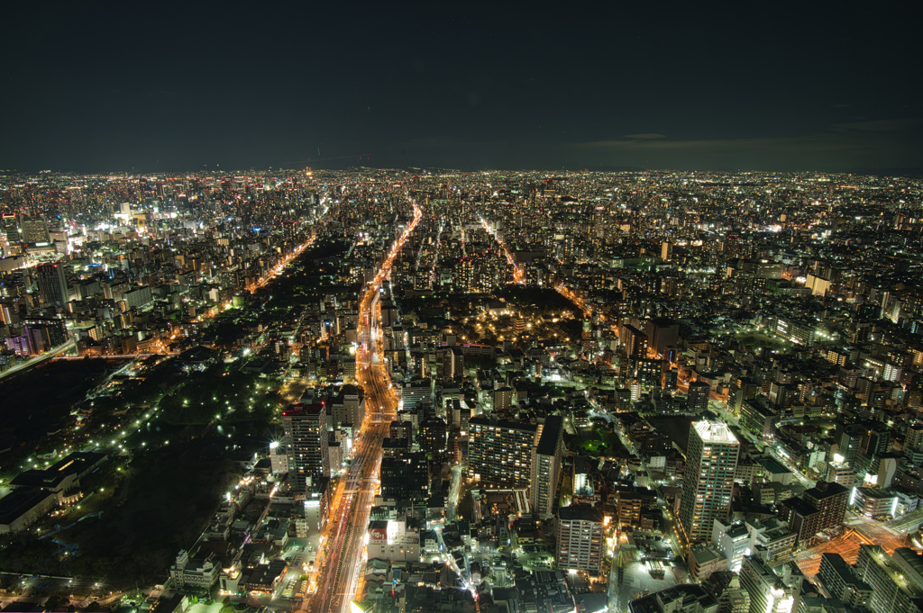 Osaka Night View